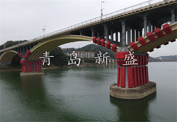 會(huì)龍山大橋  新盛固定式原圖 (115).jpg