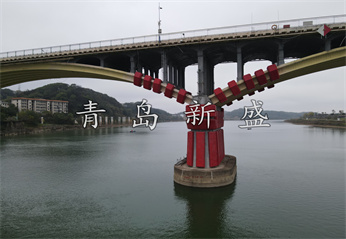 會(huì)龍山大橋  新盛固定式原圖 (116).jpg